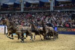 Extreme - 00441